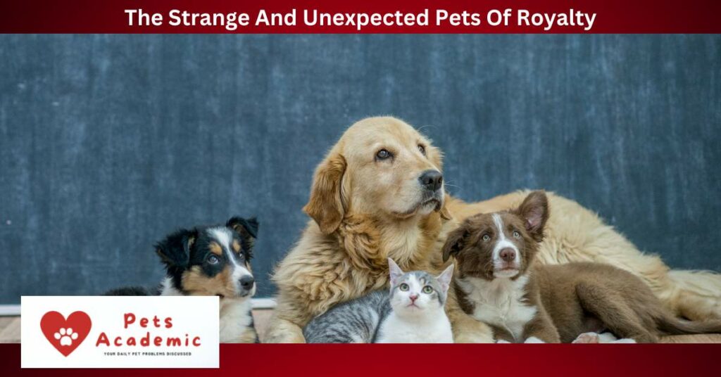 The Strange And Unexpected Pets Of Royalty