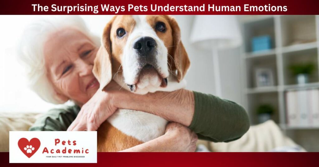 The Surprising Ways Pets Understand Human Emotions