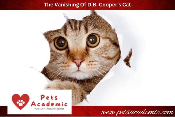 The Vanishing Of D.B. Cooper's Cat