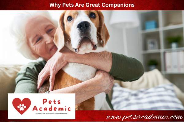 Why Pets Are Great Companions