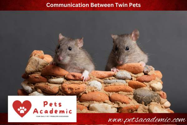 Communication Between Twin Pets