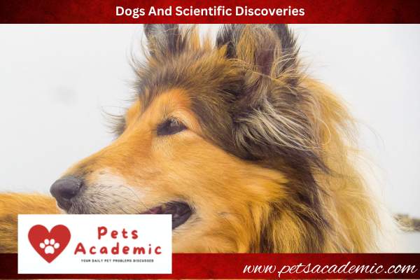Dogs And Scientific Discoveries