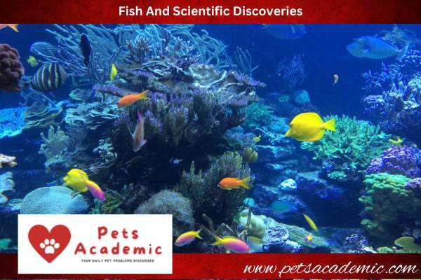 Fish And Scientific Discoveries