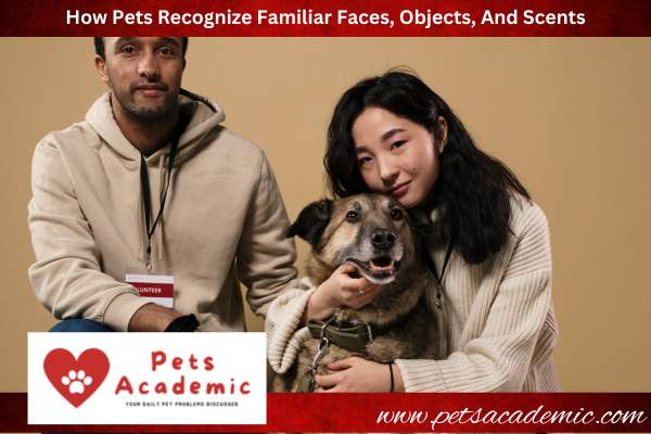 How Pets Recognize Familiar Faces, Objects, And Scents