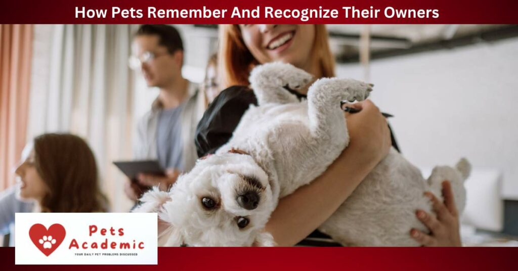 How Pets Remember And Recognize Their Owners