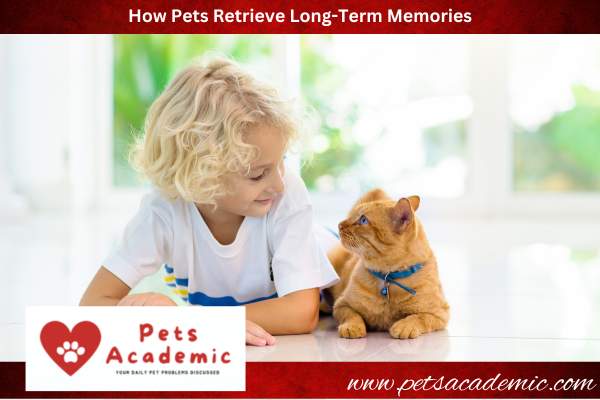 How Pets Retrieve Long-Term Memories