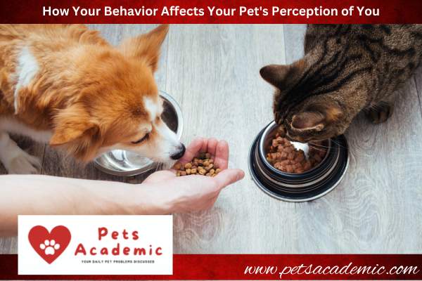 How Your Behavior Affects Your Pet's Perception of You