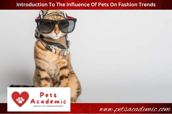 Introduction To The Influence Of Pets On Fashion Trends