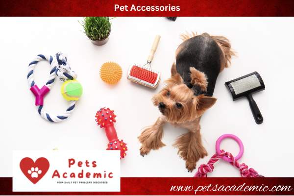 Pet Accessories