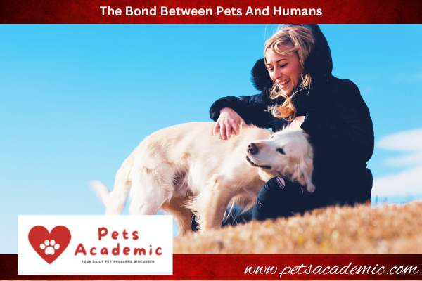 The Bond Between Pets And Humans