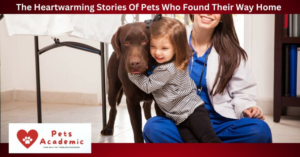 The Heartwarming Stories Of Pets Who Found Their Way Home