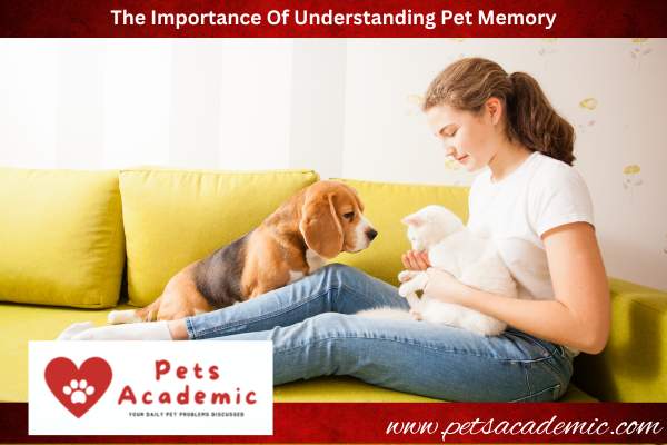 The Importance Of Understanding Pet Memory