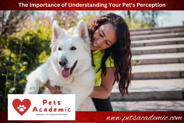 The Importance of Understanding Your Pet's Perception