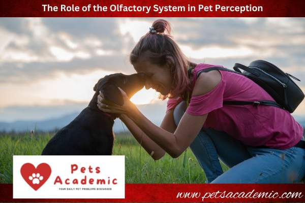 The Role of the Olfactory System in Pet Perception