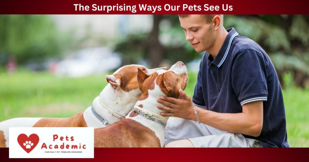 The Surprising Ways Our Pets See Us