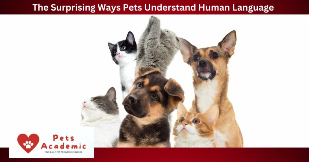 The Surprising Ways Pets Understand Human Language