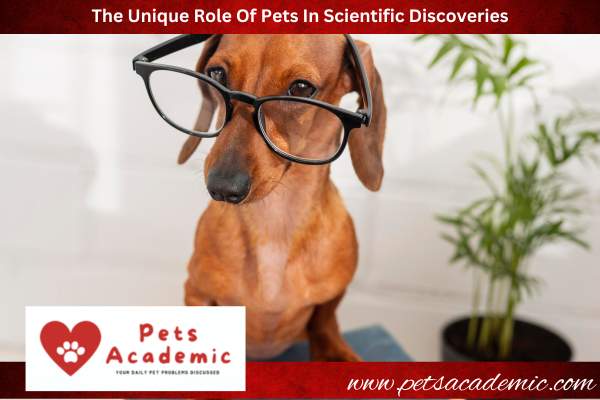 The Unique Role Of Pets In Scientific Discoveries
