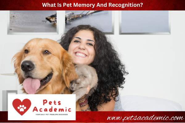 What Is Pet Memory And Recognition?