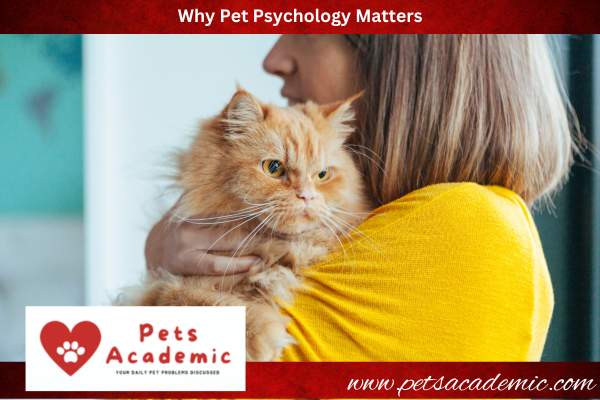 Why Pet Psychology Matters